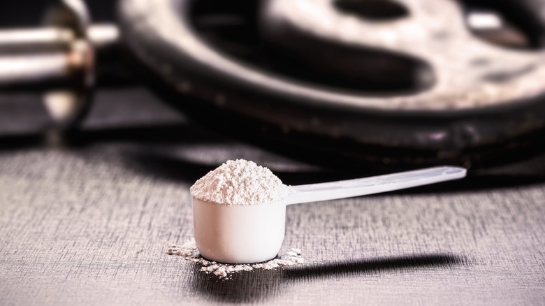 A scoop of creatine powder