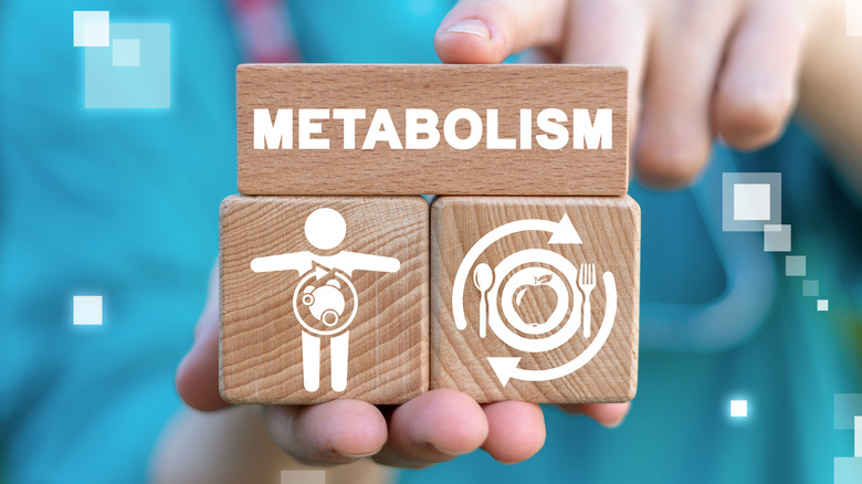 metabolism concept on wooden blocks