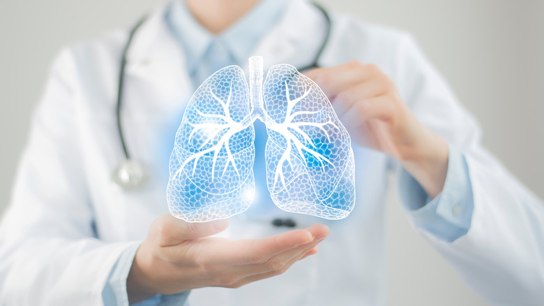 a set of lungs