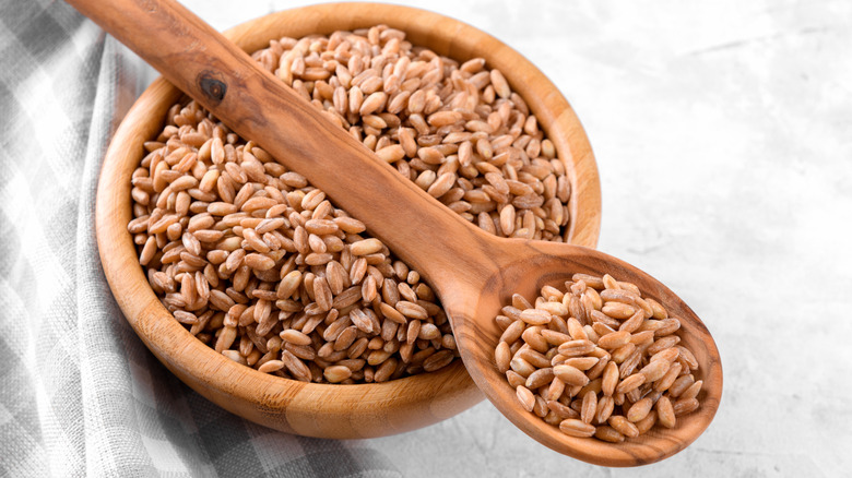 farro on a spoon