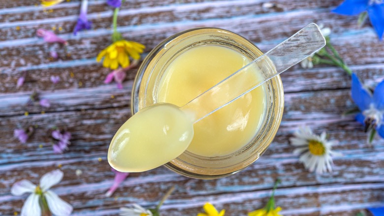 jar of royal jelly with spoon