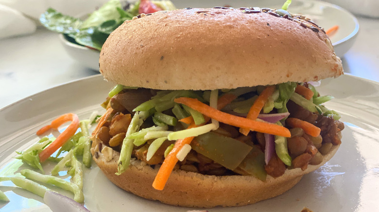 sloppy joe close-up