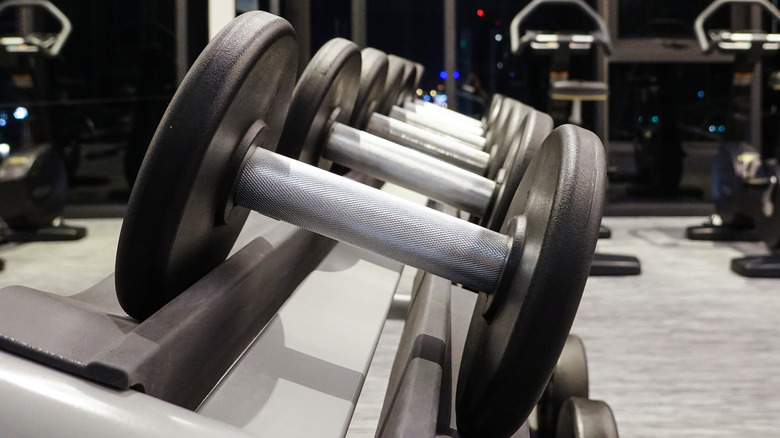 rack of weights at the gym