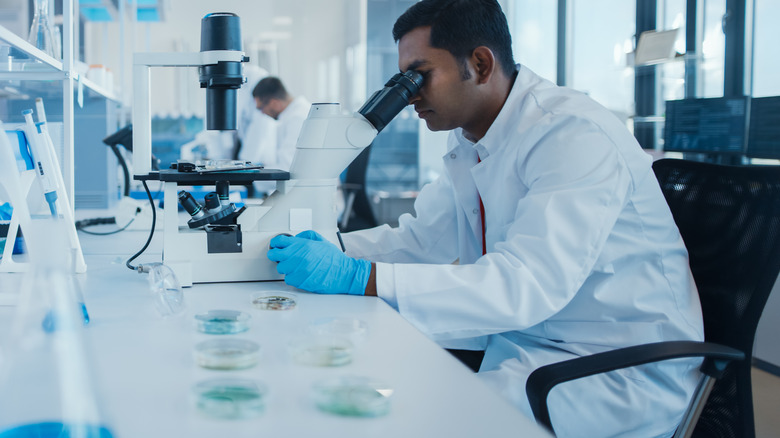 researcher looking in microscope