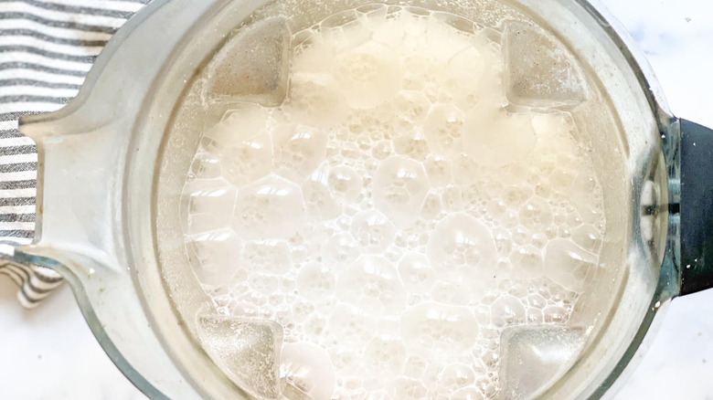 hemp seeds in blender