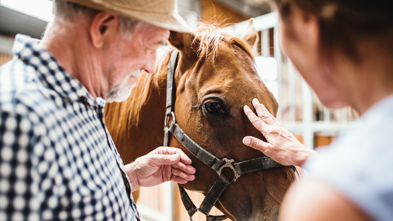 Couple petting horse in barn