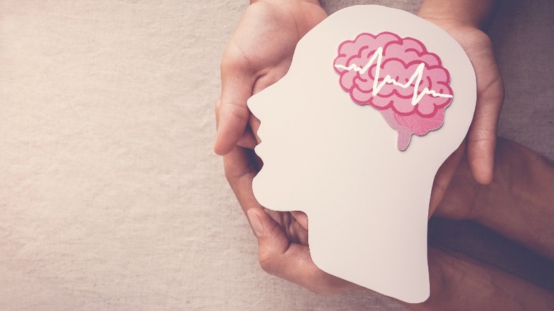 Adderall brain chemicals