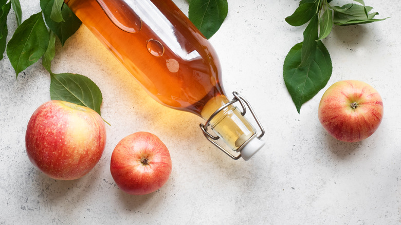 bottle of apple cider vinegar and apples and leaves