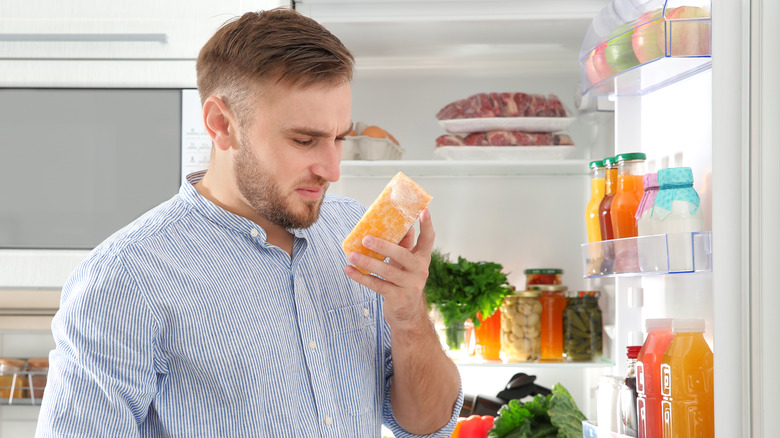 Man standing in front of open fridge smelling a hunk of stale cheese