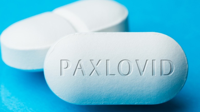 Paxlovid pill 