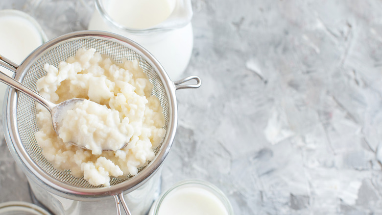 Kefir in a strainer