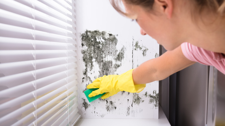 woman cleaning black mold