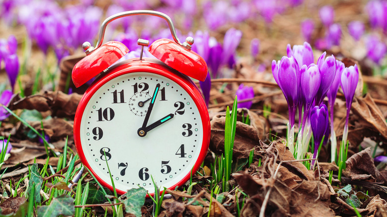 clock surrounded by spring flowers
