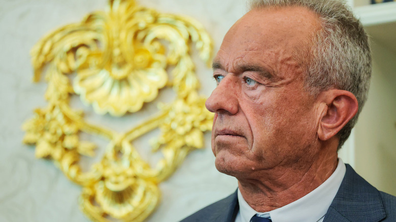 Robert F. Kennedy, Jr. looking serious in profile