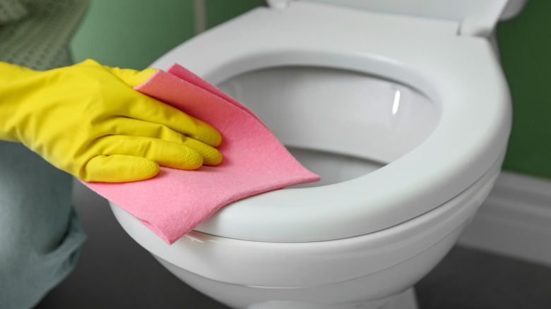 close up of woman's hands cleaning the toilet seat