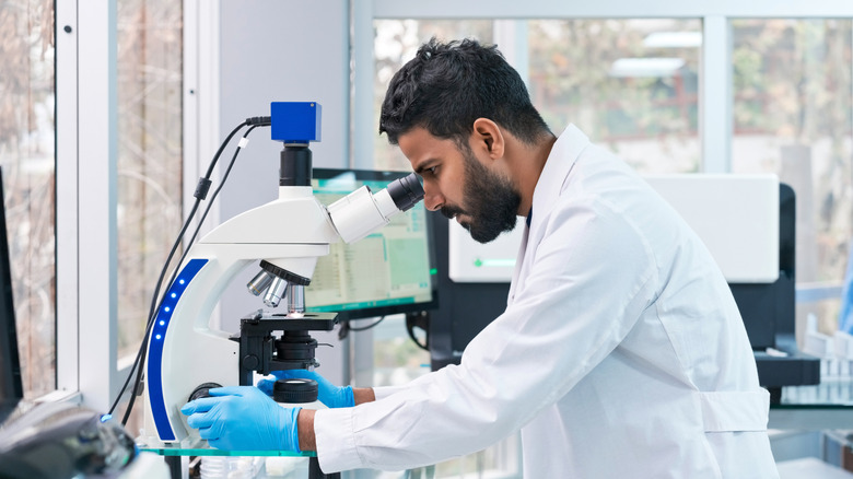 A male scientist working in the lab