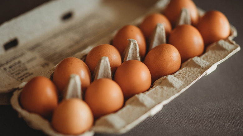 A dozen brown eggs in a carton