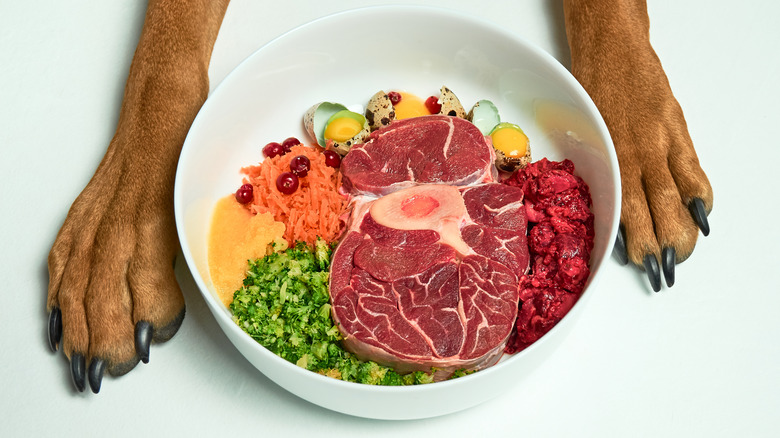 Dog bowl with raw meat