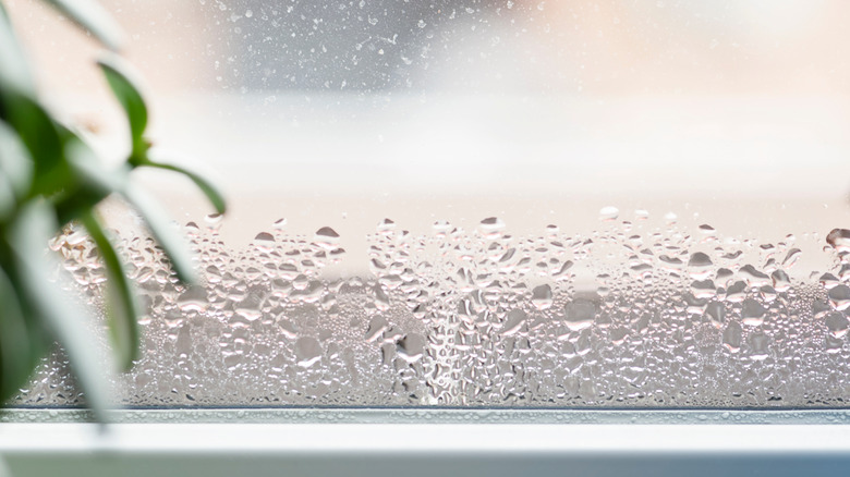 Humid weather condensation on window