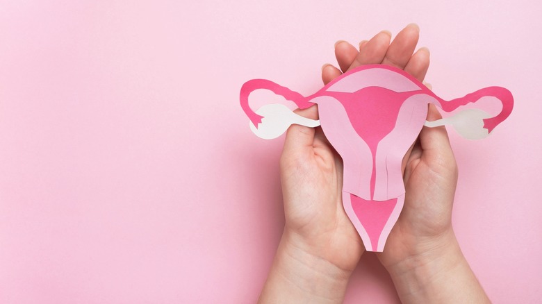 paper uterus