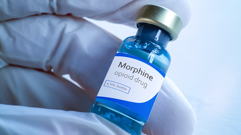 Hand holding a vial labeled morphine
