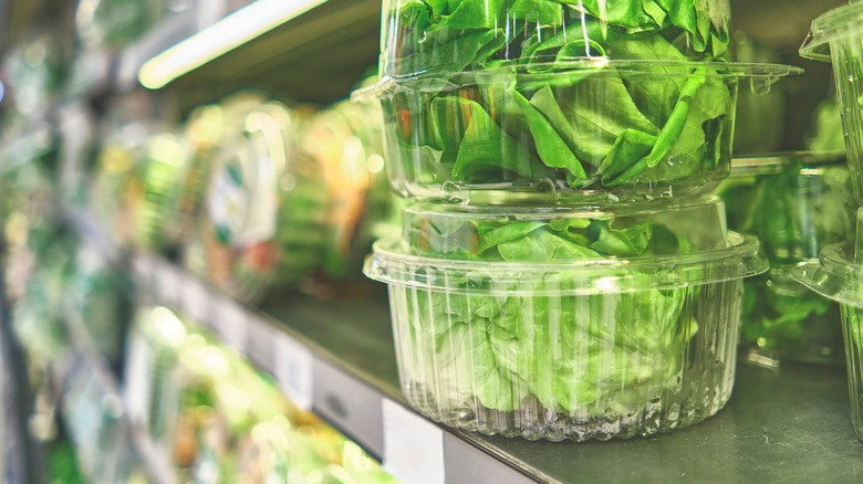 Prepackaged salad on grocery store shelves