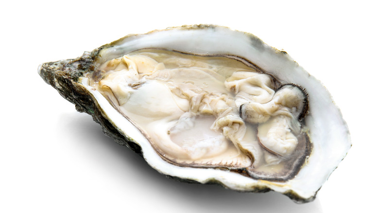 Single oyster