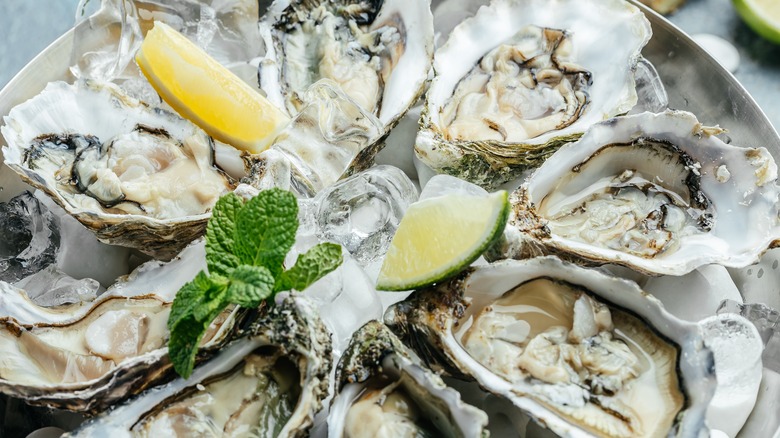 Oysters on a tray