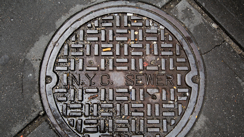 NYC sewer cover