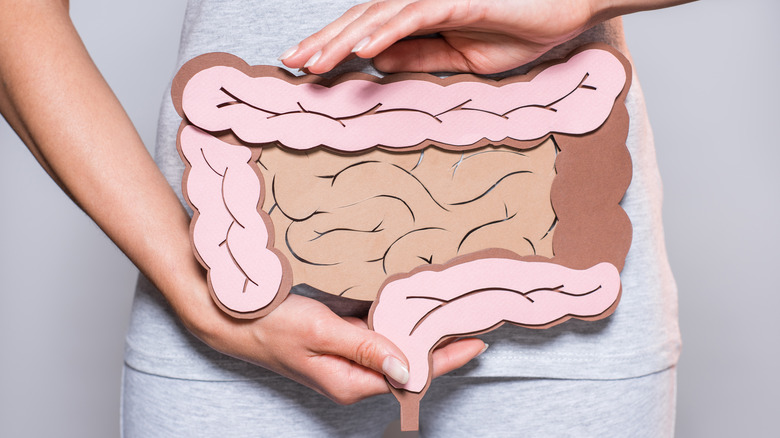 woman holding an illustration of a colon near her stomach