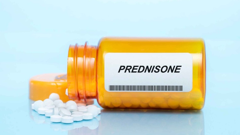 bottle of prednisone pills