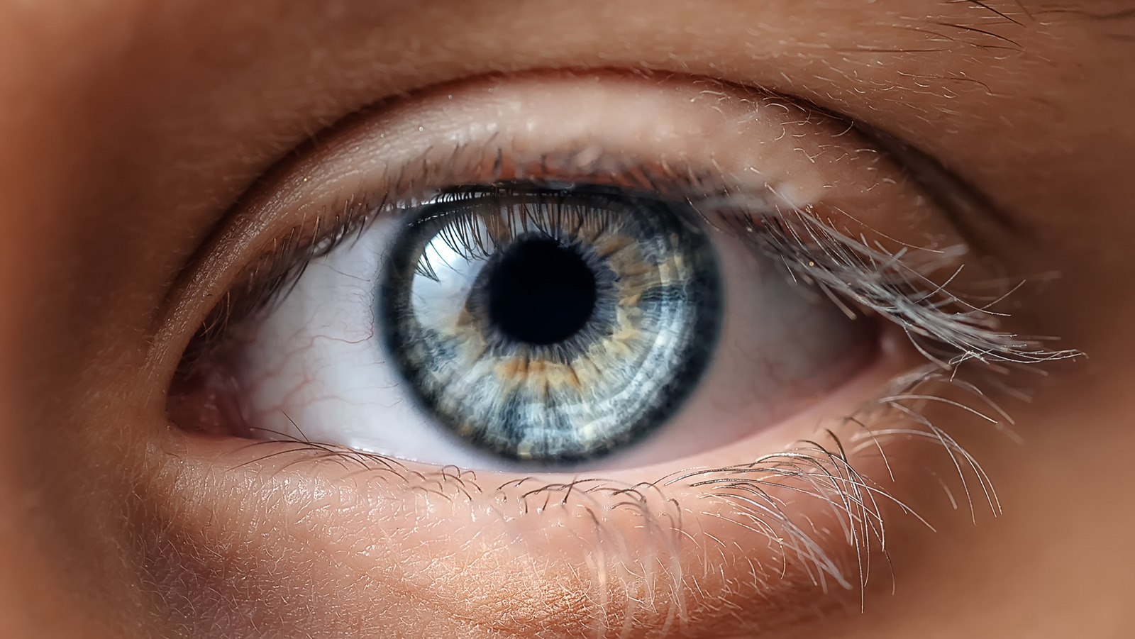 Rare Eye Colors In Humans Rare Eye Colors In Humans