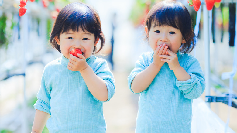 twin toddlers