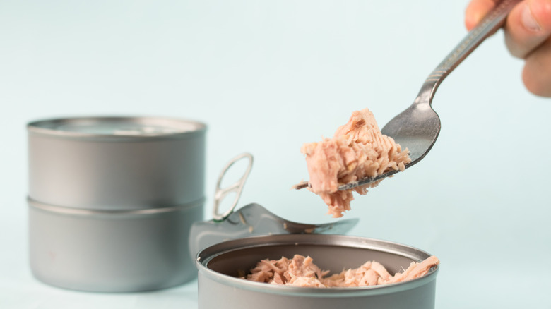 hand with fork getting tuna fish from can