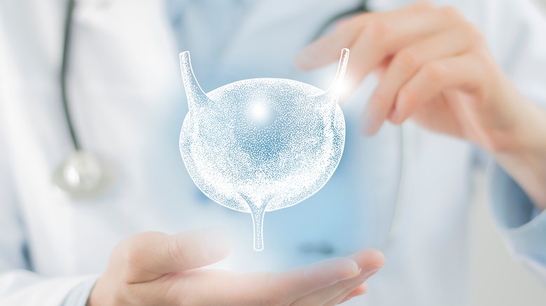 female doctor holding virtual bladder