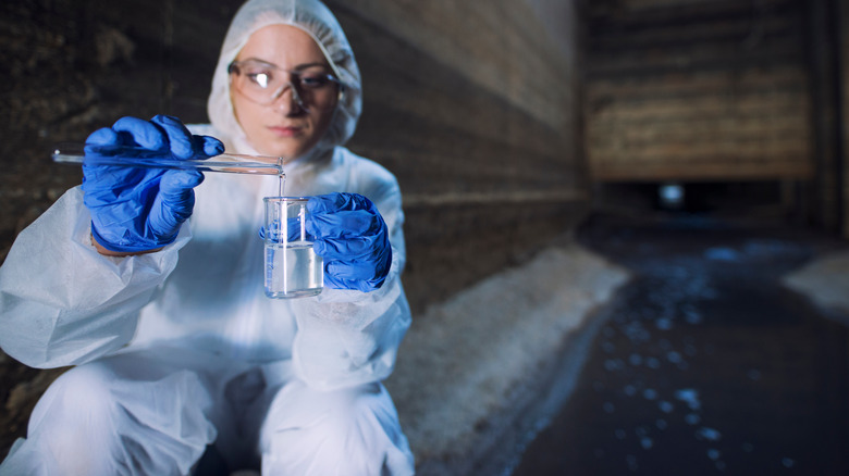 woman gathering sewage samples