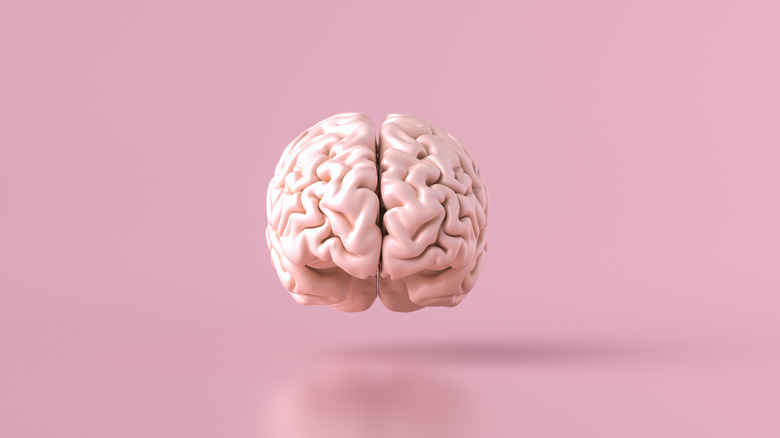 floating brain on pink background