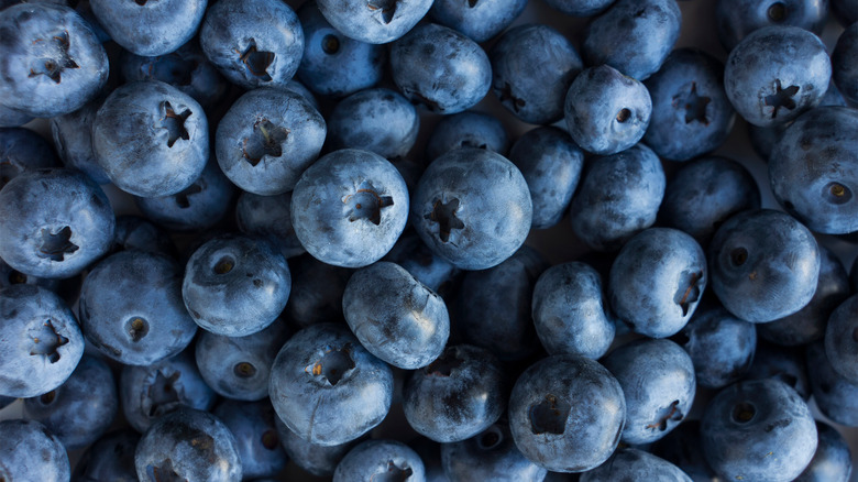 fresh blueberries