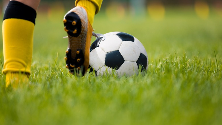 person plays soccer