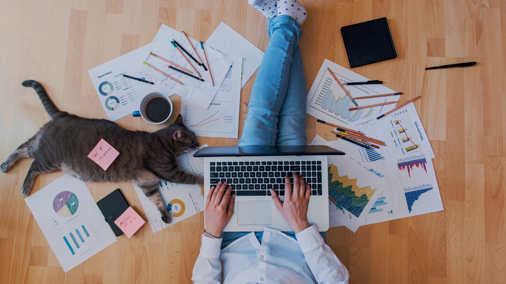 person working from home surrounded by papers and cat