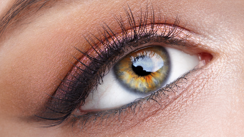 beautiful eye closeup of white woman