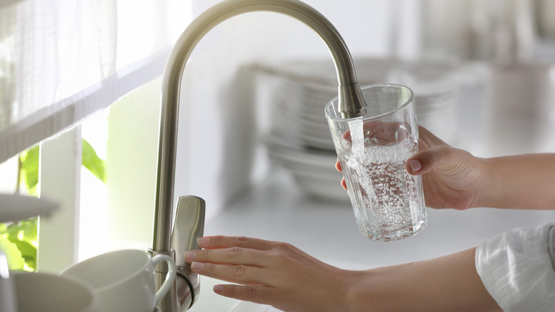 Person filling glass of water