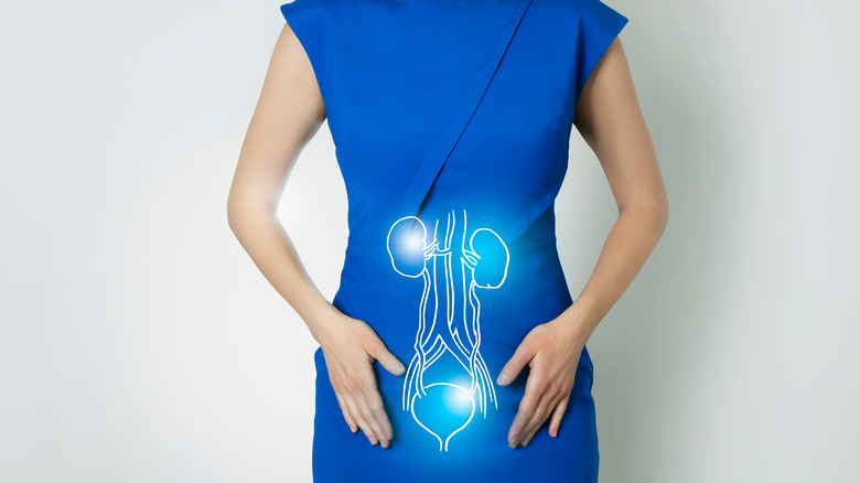 woman with bladder image