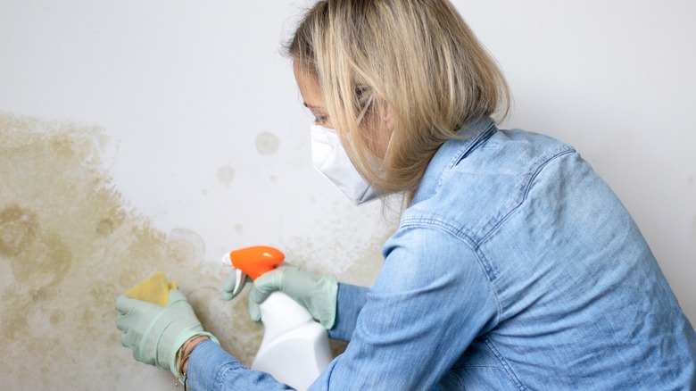 Masked woman cleaning moldy wall