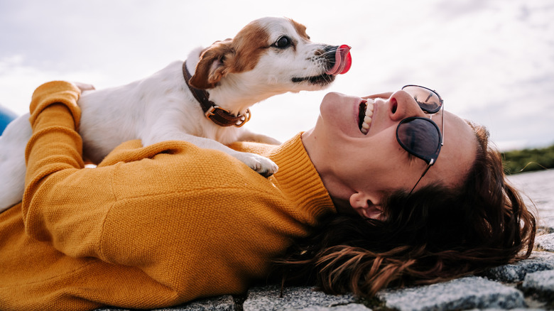 Laughing young woman with canine licking