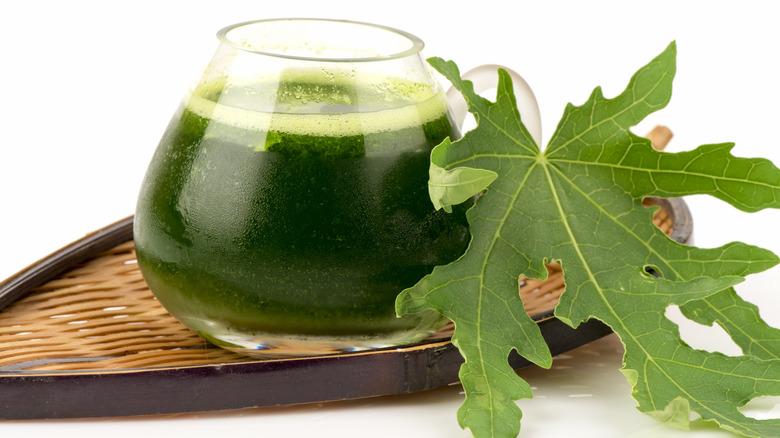 papaya leaf extract