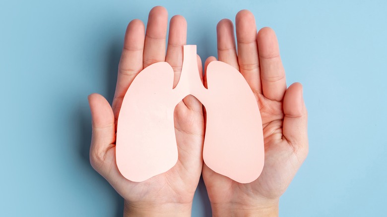 human hands holding paper lungs 