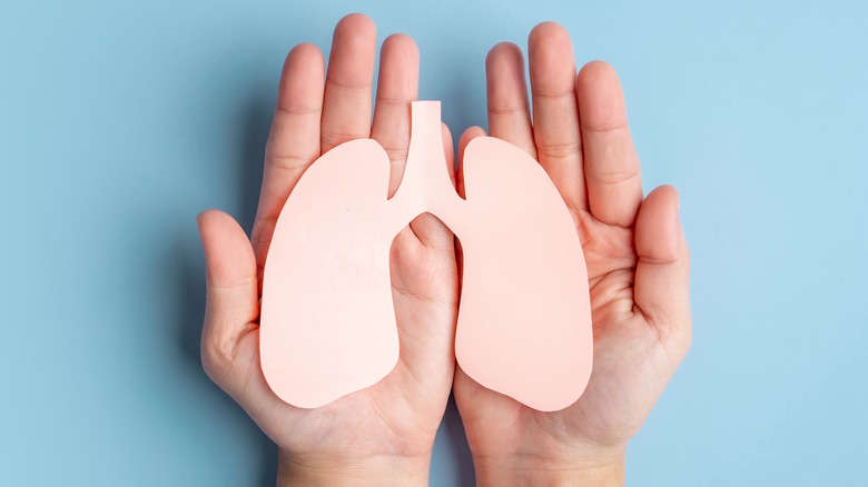 human hands holding paper lungs 