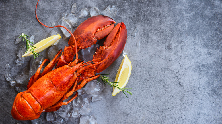 Lobster on counter