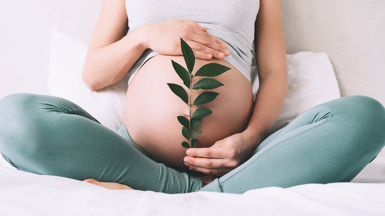 Pregnant woman showing belly